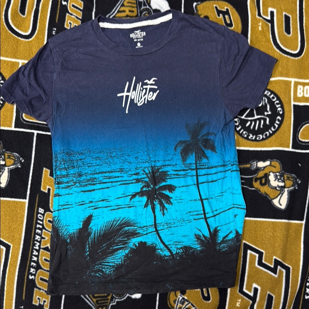 Hollister Ocean Blue and Black Palm Tee